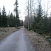 Nach Verlassen der Grünhütte folgte ich dem breiten, gut beschilderten Weg Richtung Sommerberg.