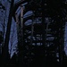 Diesen riesigen Aussichtsturm des Baumwipfelpfades kurz vor Sommerberg passierte ich bei schon ziemlicher Dunkelheit ...