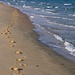 Tag 2 (25.12.):<br /><br />Uraub pur! So muss ein Strand sein, wo nur die eigene Spur entlang führt :-)