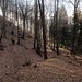 Discesa verso Cantonaccio.