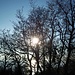 Il sole ligure inizia a scaldarci...  :-)