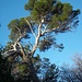 Meraviglie della Natura...