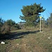 Tratto di crinale pianeggiante tra il Monte Chiappa e il Monte Bandia caratterizzato da un breve tracciato che rivela la presenza di un metanodotto.