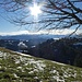 reiche Farbenpalette zwischen Vorfrühling und Winter;
Hinüberblick zum Höche Surebode (vis-à-vis) und zu den hohen Bernern