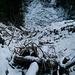 Vom letzten Winter verursachte Schneise der Verwüstung beim Zustieg zum Stepbergeck