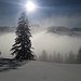 Am Ansatz des Plättlispitzgrates über dem Nebel, der Schneeoberfläche glatt und seidenfein