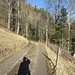 Waldweg zurück an der Osteite