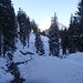 Nach dem Forstweg führt die Schneeschuhspur an einem Bachlauf entlang...