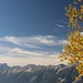Seegrube - Brandjochspitze