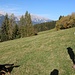 Stöckchen schmeißen für einen Hund, der uns eine Weile begleitete