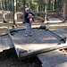 im Kugelwald
