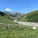 Bärenhorn & Co.