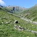 Bärenhorn