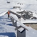 Alpe Palasina (2400m) 