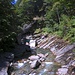 "Im Grunde besteht alles irgendwie aus Wasser."<br />Thales