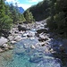 ♫♬♫ Pissin' in the River ♬♫♬<br />[https://www.youtube.com/watch?v=R8RwwtLxe34]