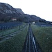 zunächst entlang der Bergbahn hinauf