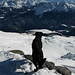 Blacky geniesst den Tiefblick über Malmurainza hinunter ins untere Unterengadin, über ihm mit dem Piz Lad der letzte Gipfel der Unterengadiner Dolomiten 