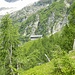 Alpe di Sceng di Sopra Q1788