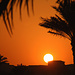 Tag 6 (29.12.) - الدوحة (Ad Dawḩah):<br /><br />Letzter Sonnenuntergang in Qatar vor meiner Heimreise in kommender Nacht. Schön war es gewesen und am liebsten wäre ich für eine weitere Urlaubswoche einfach hinüber nach Bahrain oder Kuwait geflogen.