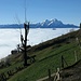 Beim Oberberg bereits über dem Nebel