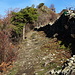 Wanderweg Richtung Grat