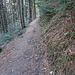 Ancien Bisse de Couluirette, ein bisschen kann man die ehemalige Bisse erahnen