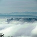 Nebel und darüber Innerschweizer Berge