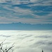 Blick über das Bodensee-Nebelmeer