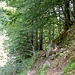 Zwei Wege führen um den Brocken,<br />der eine links, der andere rechts.