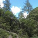 Ticino selvaggio