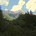 Im Tessin wächst der Wald.