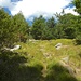 Wolken, Steine, Wald und Gras<br />Ich hier einen Apfel ass