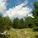 Stock und Stein, Wald und Gras<br />Ich hier eine Banane ass