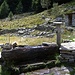 ♫♬♫ Water of Love ♬♫♬<br />[https://www.youtube.com/watch?v=TT30jj_L1Dc]