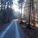 Im Tal geht es auf breitem Weg zurück zum Ausgangspunkt der Tour.