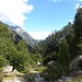 Walden<br />Henry David Thoreau