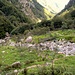 Im Val d'Osura