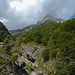 In der Schlucht ein Bach
