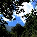"Vom Himmel hoch, da komm ich her, und bin so klug als wie zuver."<br />mong