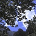 "Gute Mädchen kommen in den Himmel, böse eher nicht"<br />mong