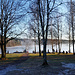Sommerfeststimmung mitten im Winter
