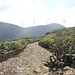 Die Windräder, die die Hälfte des auf der Insel benötigten Stroms produzieren.