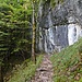 Der Steig führt an einer Felswand wieder in den Wald hinein.