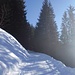 Anstieg im Bergwald auf einem schneebeckten Fahrweg