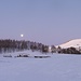 al park c'è una bellissima luna piena