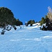 die richtige Schneise