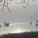 Eine etwas düstere Stimmung. Bei normaler Sicht würde man zumindest die Insel Reichenau sehen