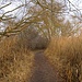 Auf dem Rückweg
