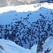 Tiefblick zum Arvenwald auf der Rautialp